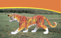 tigr