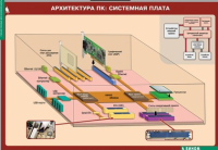 информатика