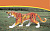 tigr