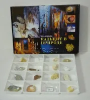 Безымянный