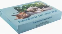 коллекция раковины