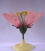 НоменклатураПрисоединенныеФайлы
